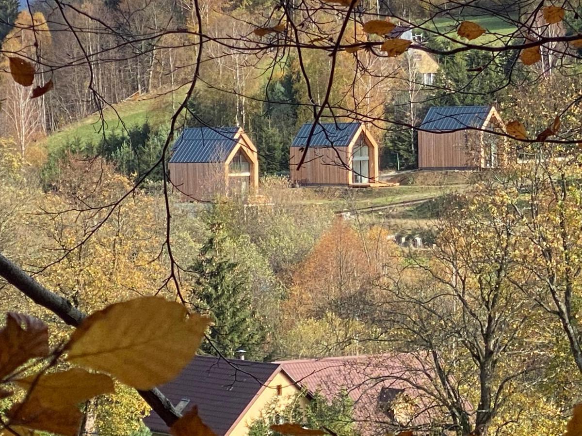 Domki Pod Lasem - Domek Sosnowy Stronie Śląskie Exteriör bild