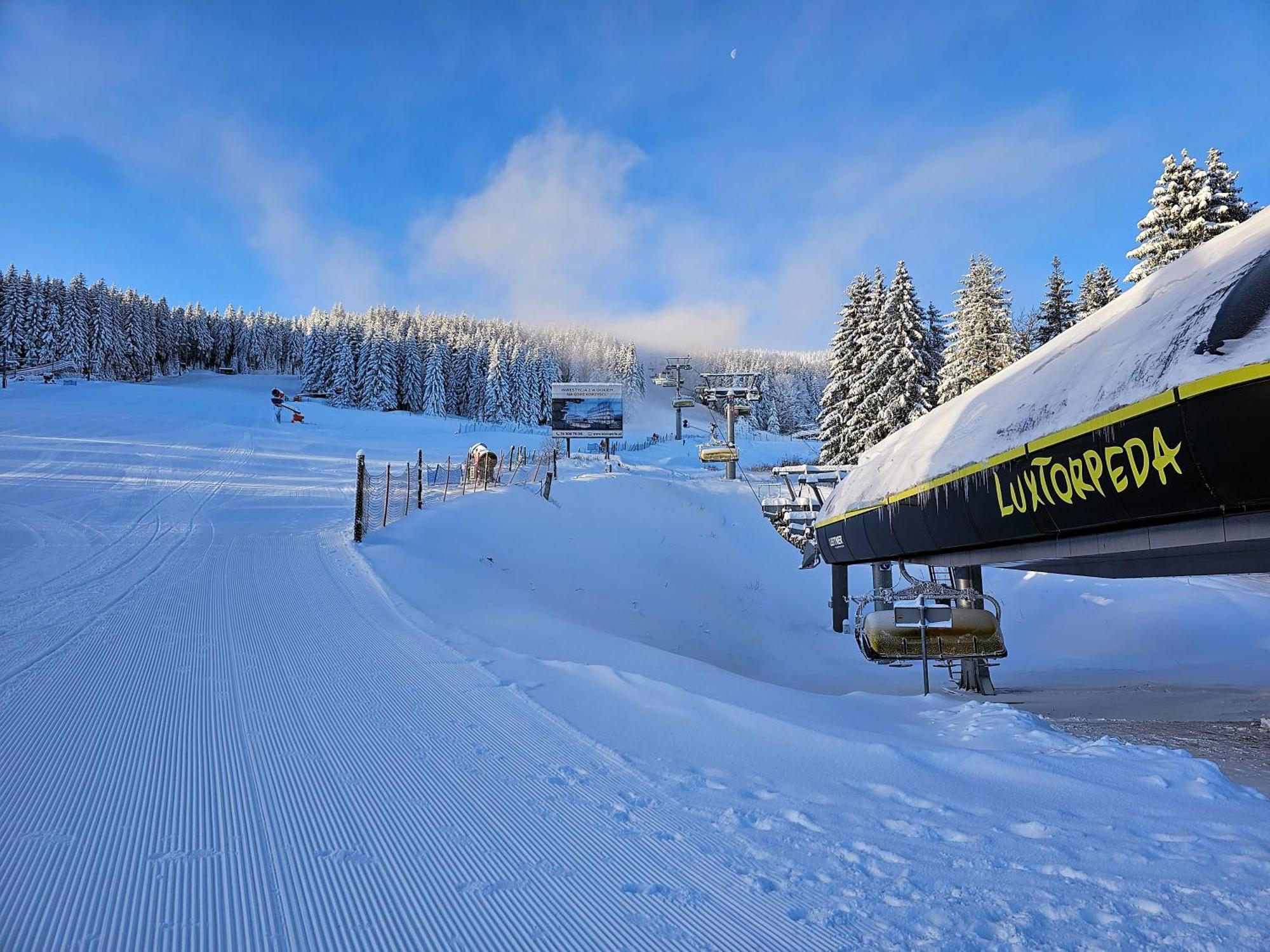 Domki Pod Lasem - Domek Sosnowy Stronie Śląskie Exteriör bild